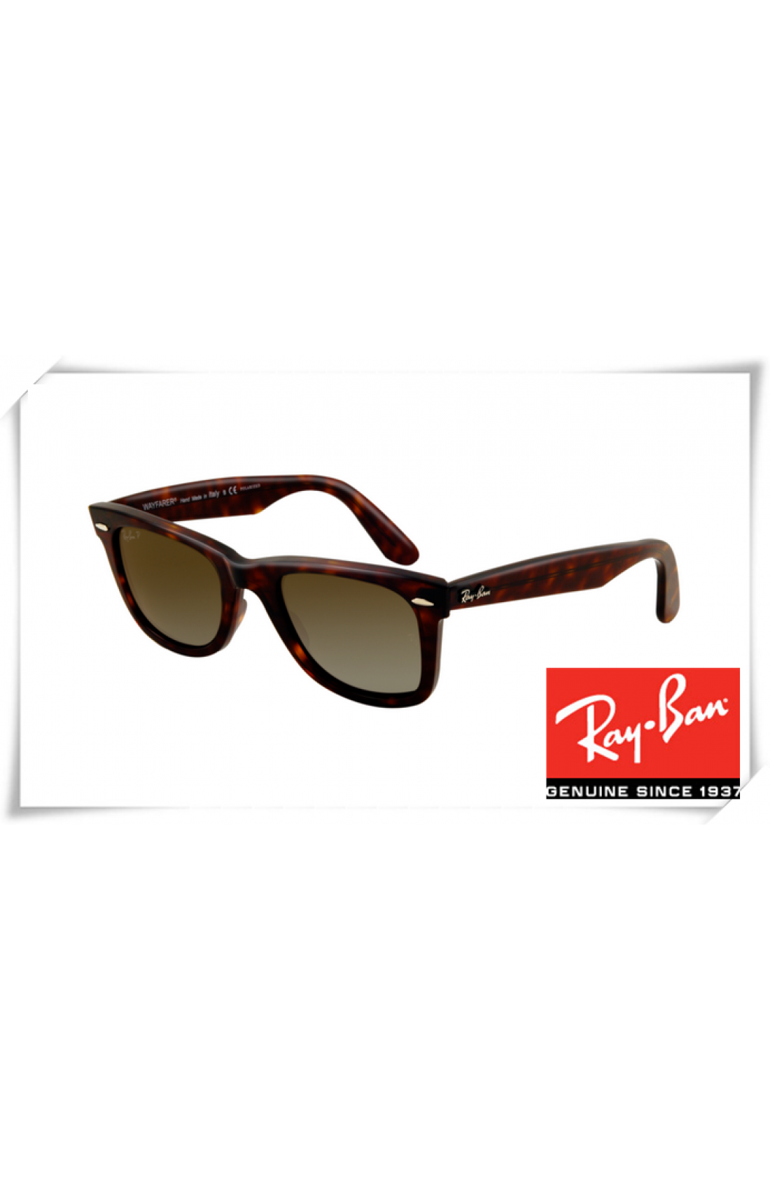 wayfarer sunglasses brown